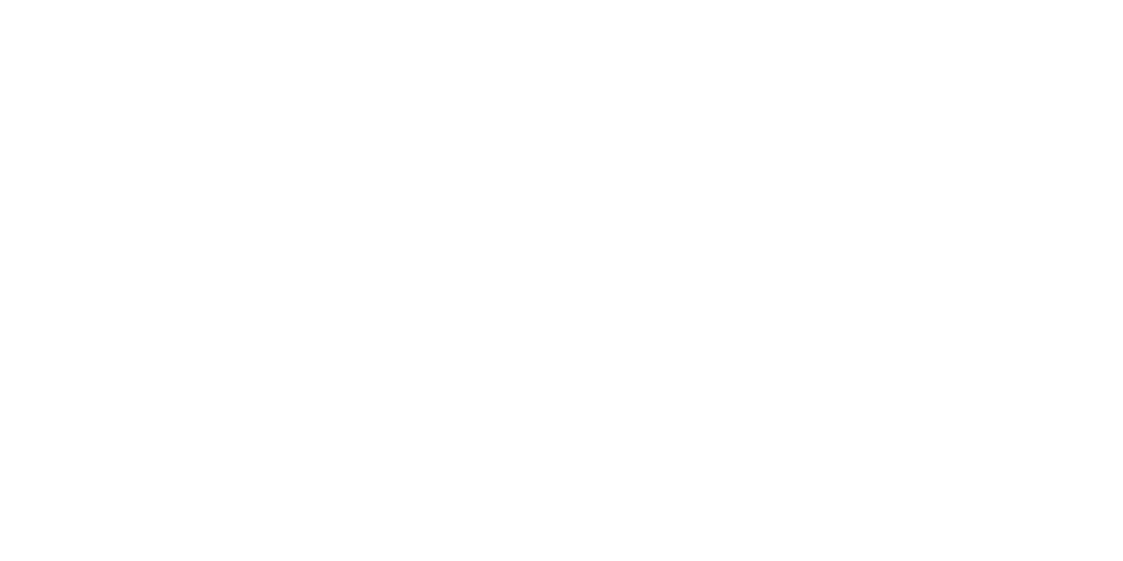 light logo